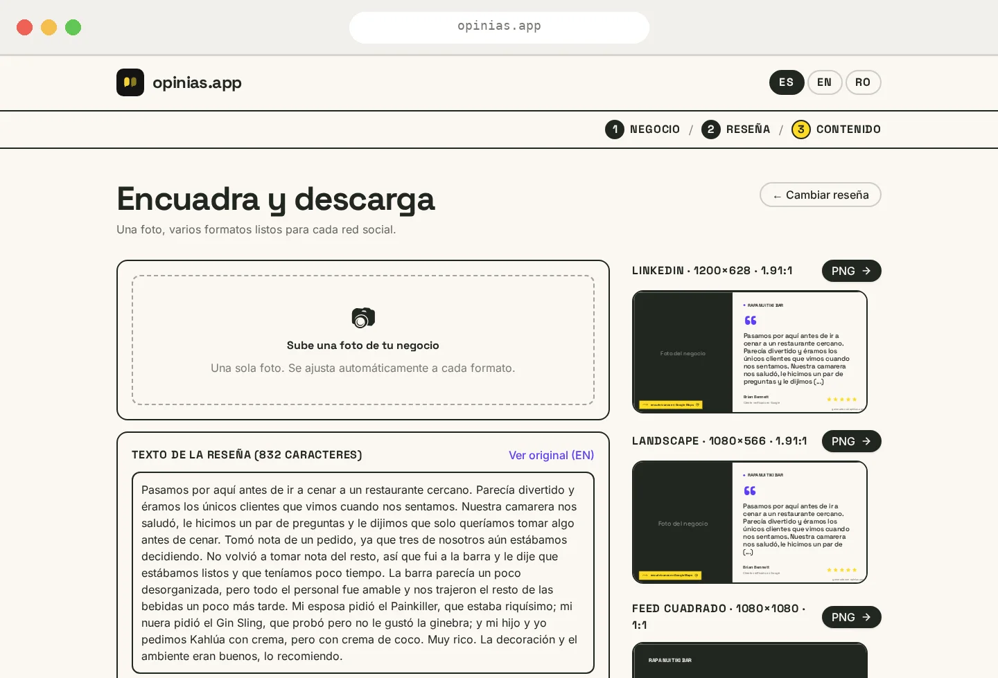 Formatos de contenido para redes sociales generados por opinias.app en escritorio