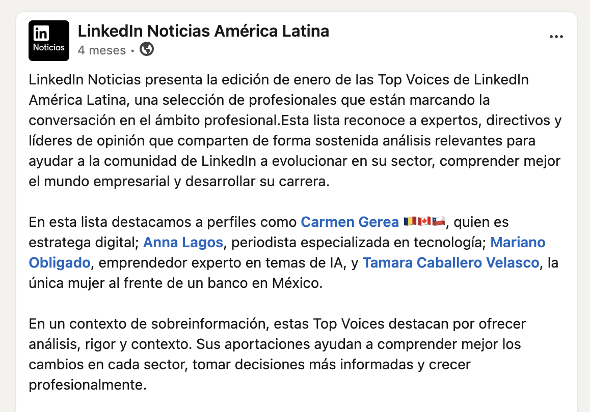 LinkedIn Noticias América Latina destaca a Carmen Gerea en su edición de Top Voices